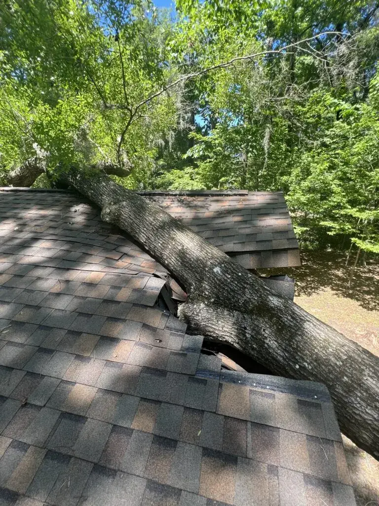 Mastering Hip Roofs: The Essential Role of Hip Roofs in Florida Weather Resilience, Brehm Roofing