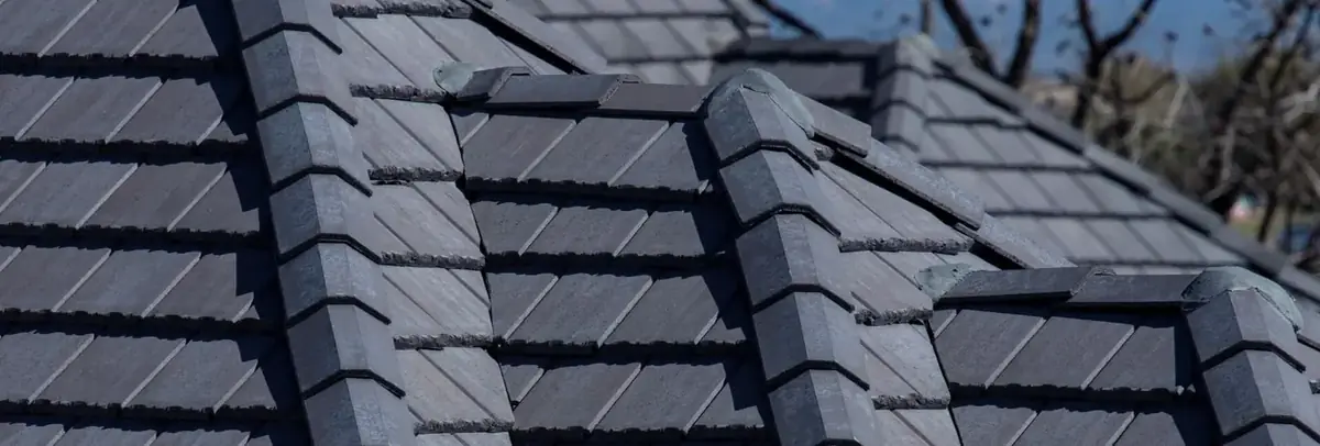 Concrete Tile Eagle