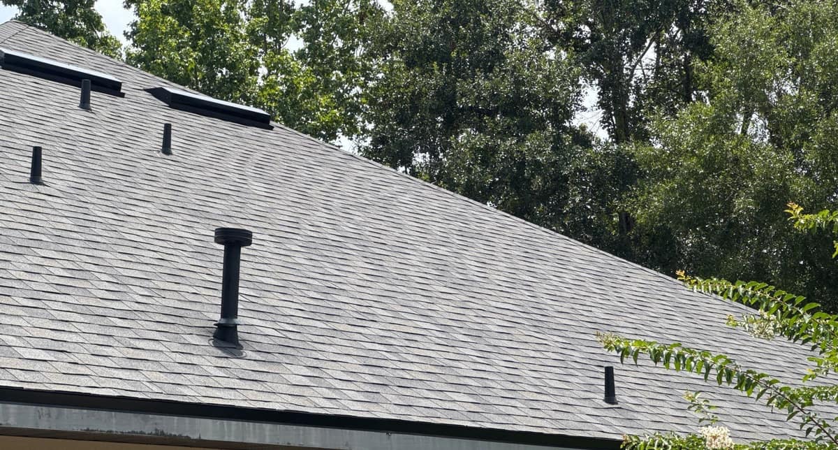 Thin black pipe vents and a capped vent stack rising from the new shingles in Alachua