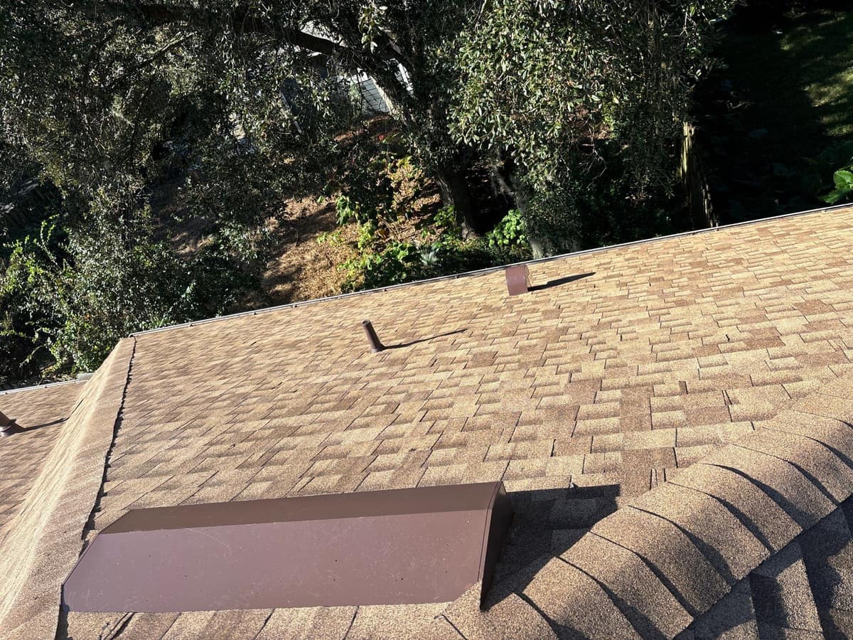 Long brown vent, a pipe vent and a small hood above the wooded yard in Gainesville