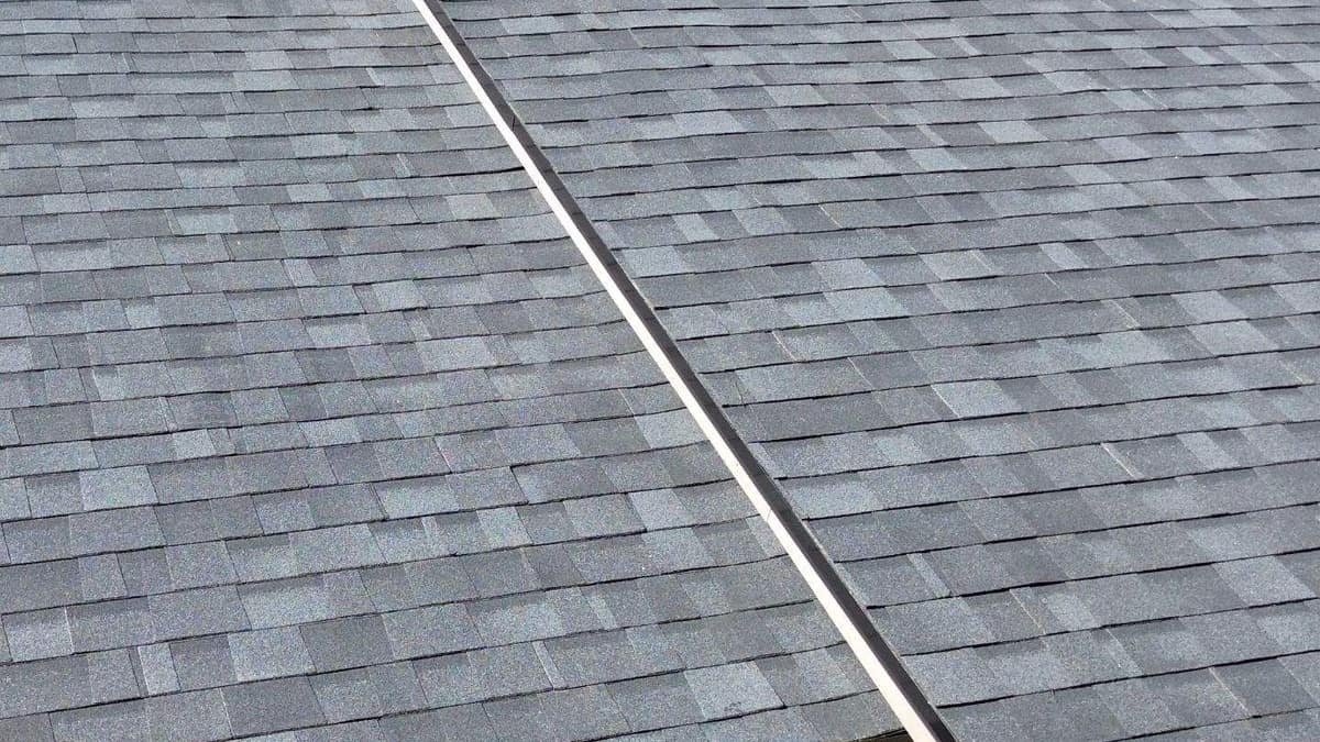 Charcoal and light gray shingle tabs on two Newberry roof sections that meet at a trimmed edge