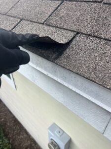 Wind damage, Brehm Roofing, Gainesville, Newberry, Tioga, High Springs, Alachua, storm damage, asphalt shingles, tile roofing, metal roofing