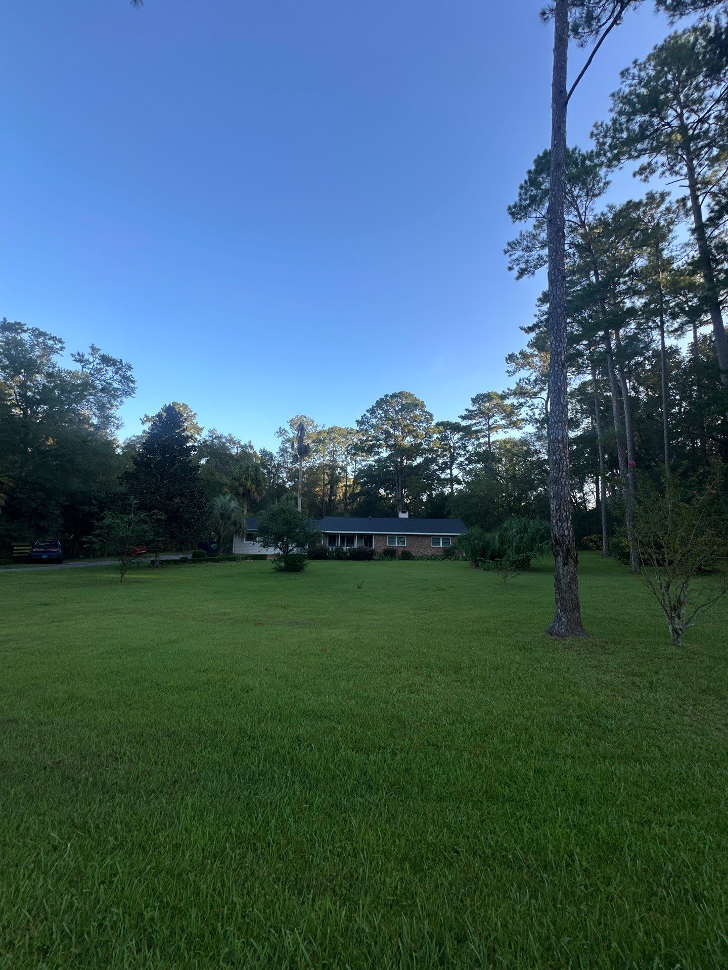 Shannon Wood Gainesville Owens Corning Duration Onyx Black finished roof