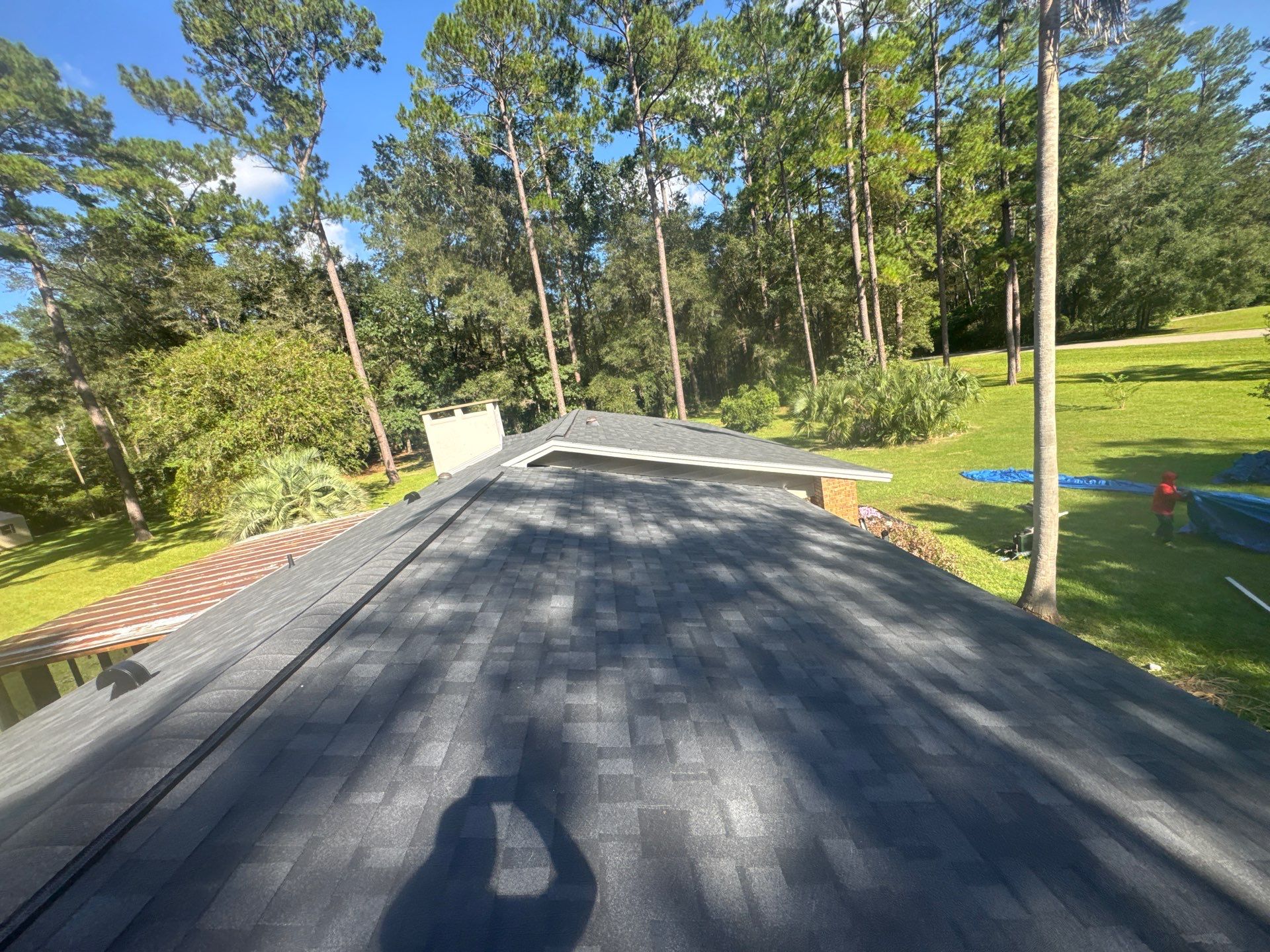 Shannon Wood Onyx Black finished ridge and field Gainesville