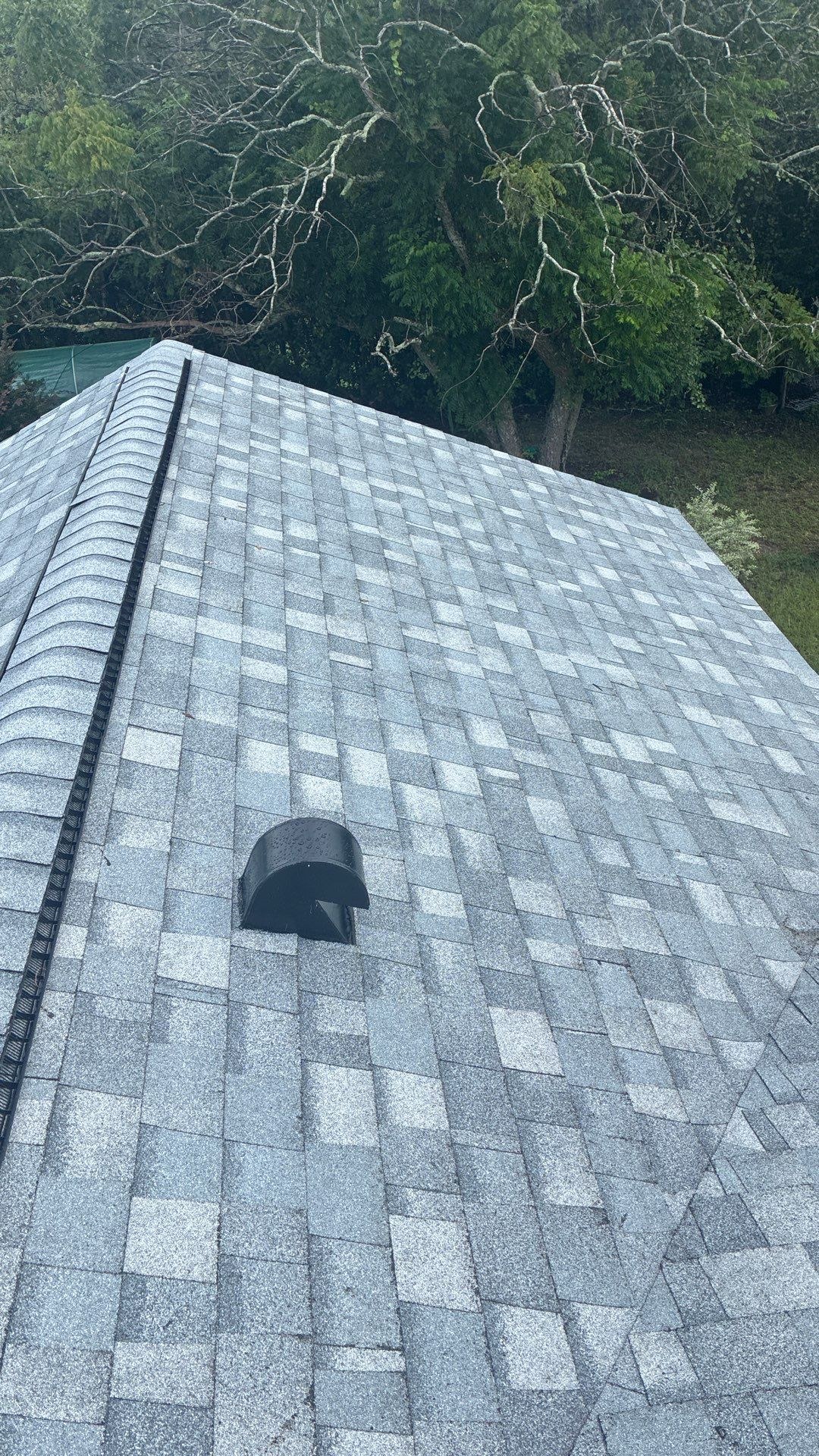 Oak Run Ocala Duration Antique Silver ridge vent and field