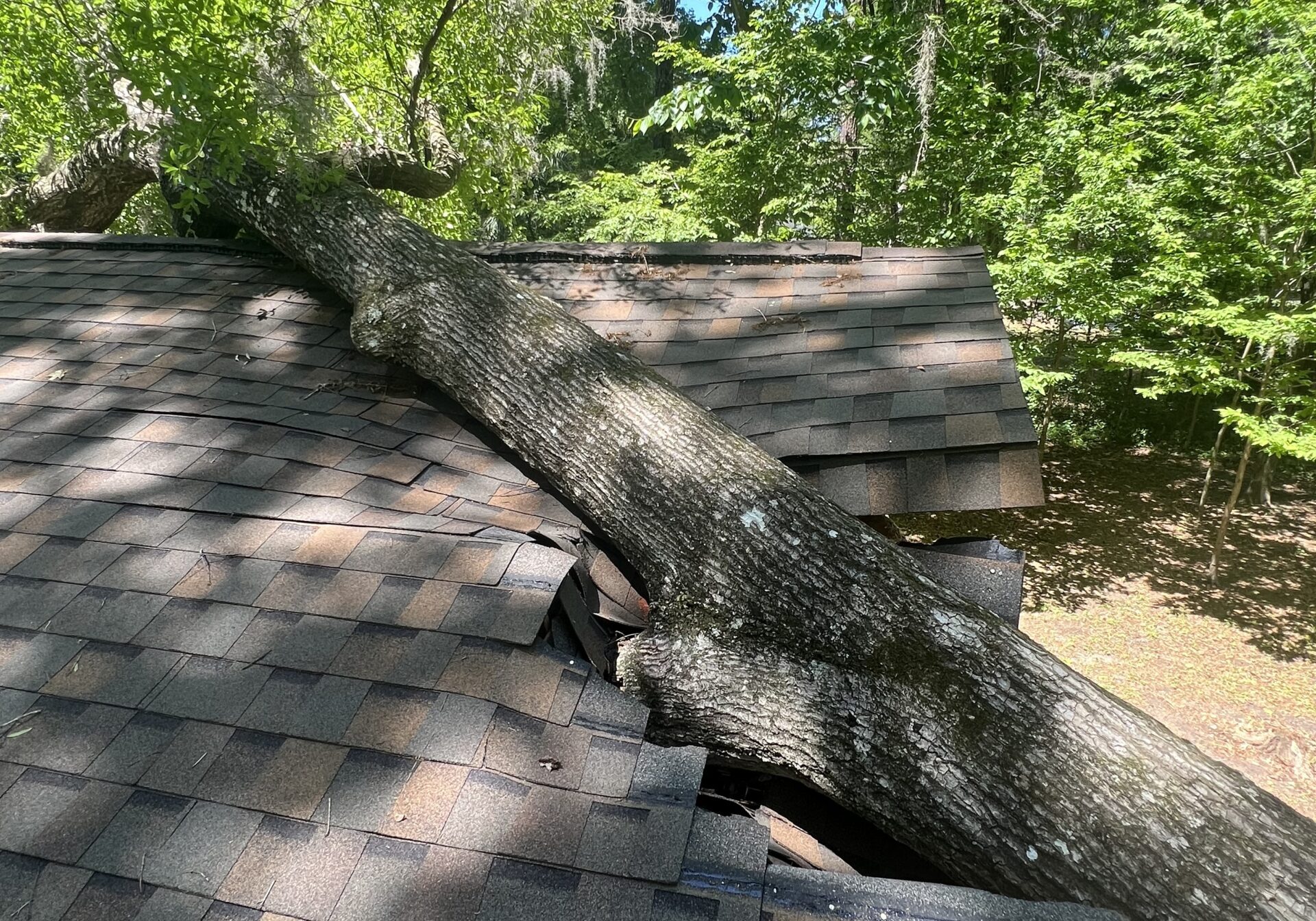 Yolie Tree damage storm damage roofing