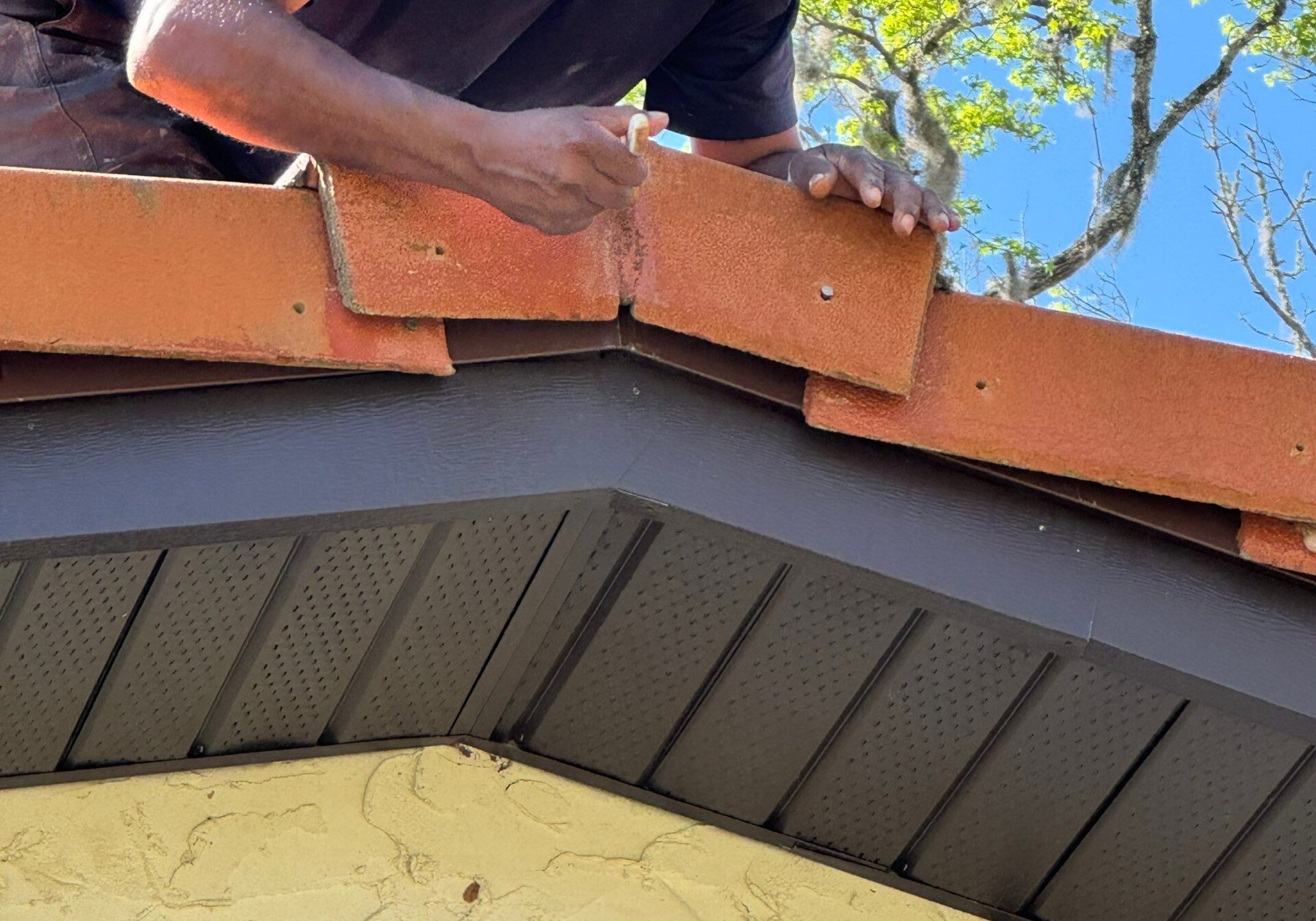 down-net_http20250630-75-kzsjfe tile roof repair the villages fl